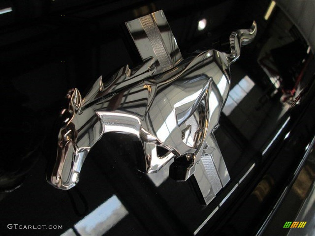 2015 Mustang V6 Coupe - Magnetic Metallic / Ebony photo #6