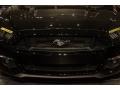 Black - Mustang GT Premium Coupe Photo No. 9