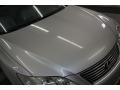 Tungsten Metallic - ES 350 Photo No. 42