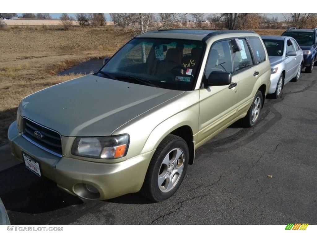 2004 Forester 2.5 XS - Sierra Gold Metallic / Beige photo #4
