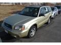 Sierra Gold Metallic - Forester 2.5 XS Photo No. 4