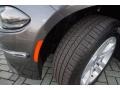 Granite Crystal Metallic - Charger SE Photo No. 31
